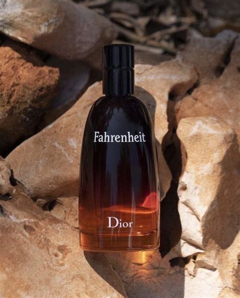 what does dior fahrenheit smell like|dior fahrenheit reviews for men.